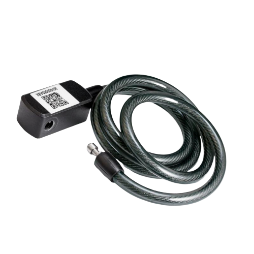 Fingerprint cable sales lock